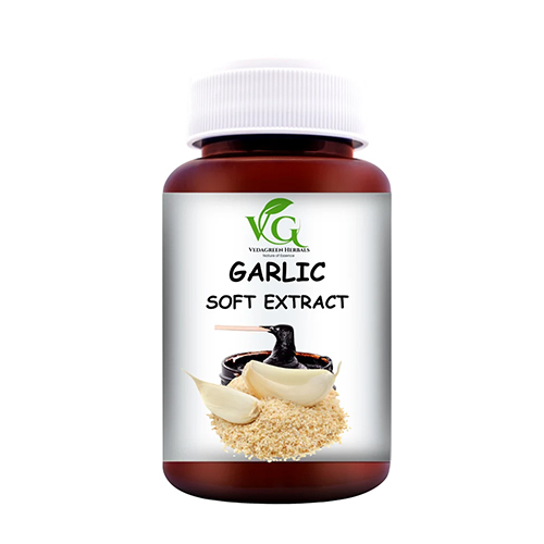 Garlic Soft Extract Paste