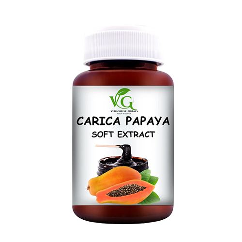 Papaya Seed Soft Extract Paste