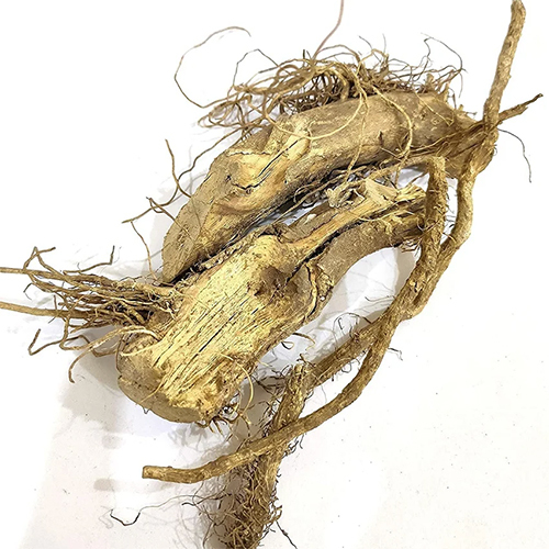 Kantkari Dry Extract