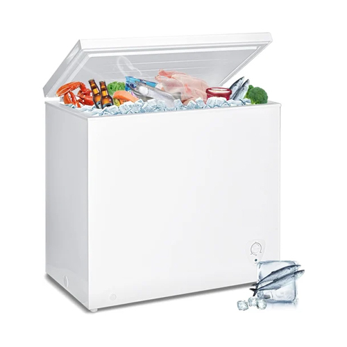 Blue Star 200L Deep Freezer Cooler