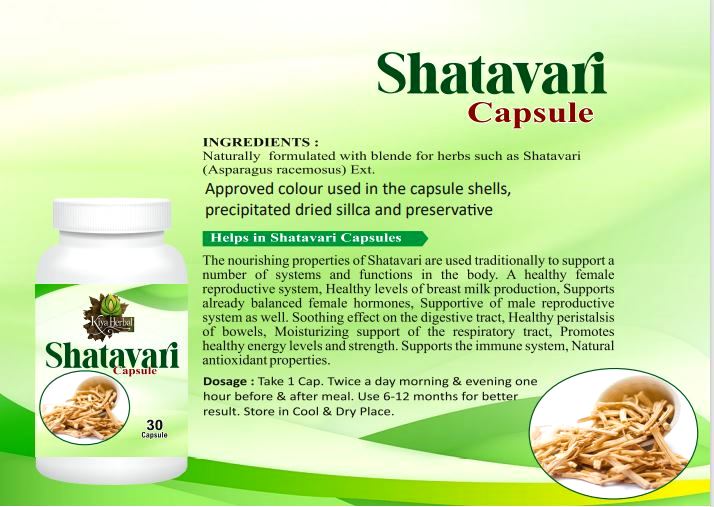 Wholesale Shatavari capsules 60capsule