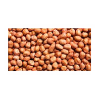 Java Peanuts Kernel - Broken (%): Nil