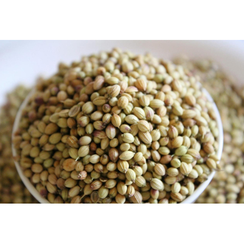 Coriander Seeds