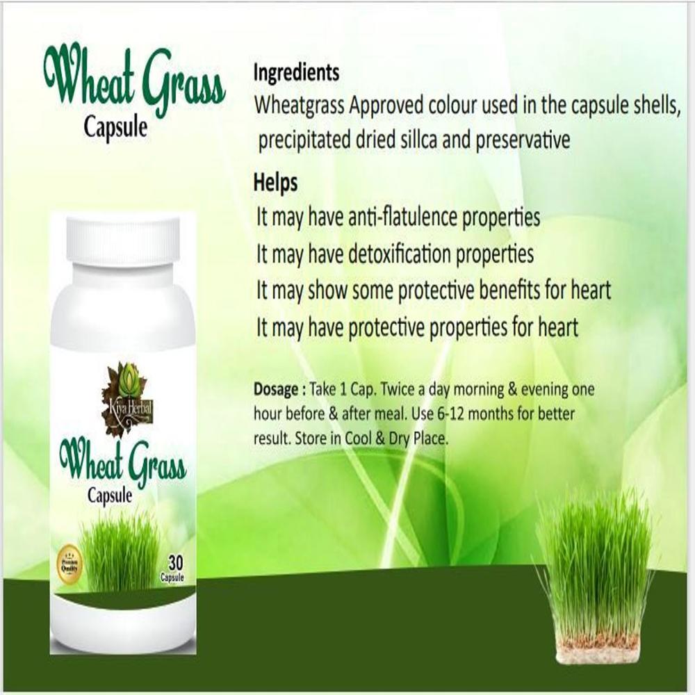 Wheat Grass Capsules For Immune System Bulk 120 Capsule - Ingredients: Vitamin A