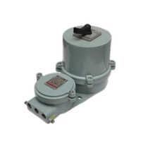 Flameproof Switch Fuse Unit - Color: Grey