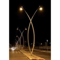 Street Ms Lighting Pole - Color: Golden