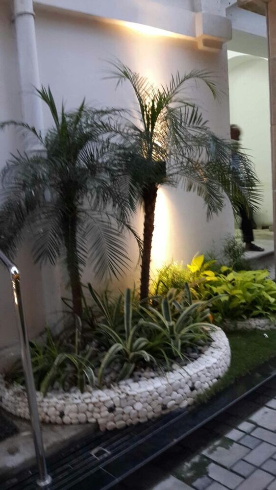 Landscape Garden - Color: Green