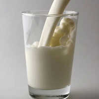 Lactose Monohydrate 200 Mesh