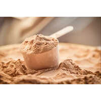 Whey Protein Concentrate Powder.