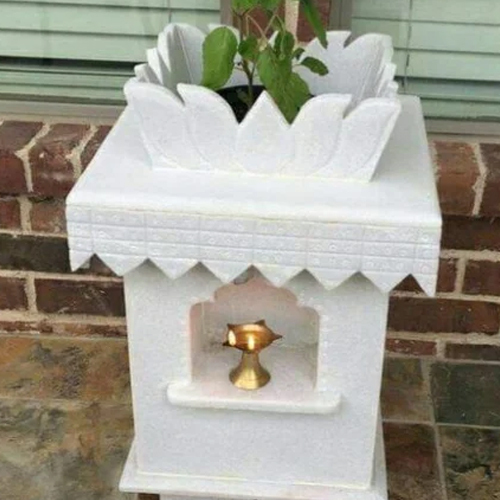 Tulsi Paudha