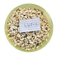 Lwp-2 Broken Cashew - Cultivation Type: Common