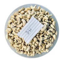 Dw Cashew Nut - Cultivation Type: Common