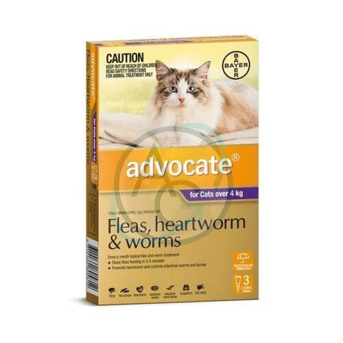 Advocate For Cat Fleas And Worms