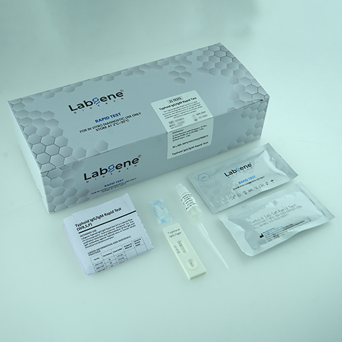 Typhoid Igg-Igm 50 Rapid Test Kit - Material: Plastic