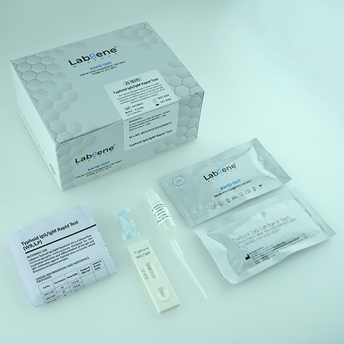 Typhoid Igg-Igm 25 Rapid Test Kit - Material: Plastic