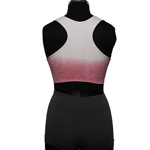 Women Seamless Sports Bra Ombre Effect - Color: Different Available