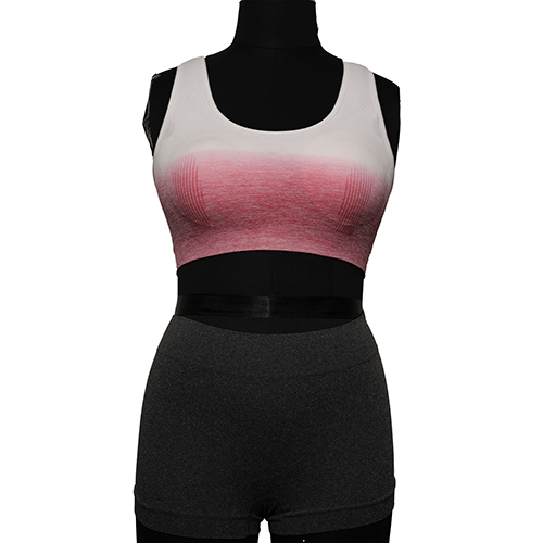 Women Seamless Sports Bra Ombre Effect - Color: Different Available