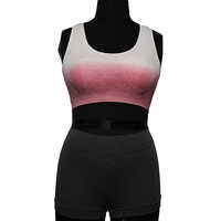 Women Seamless Sports Bra Ombre Effect