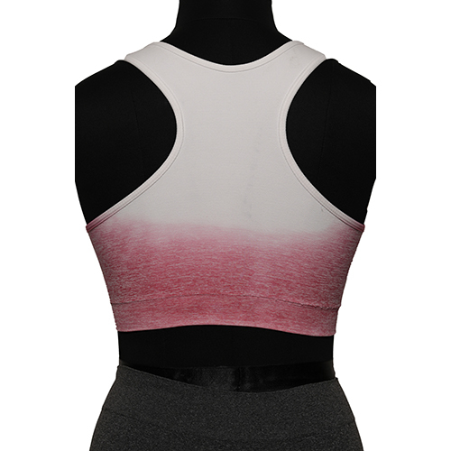 Women Seamless Sports Bra Ombre Effect - Color: Different Available