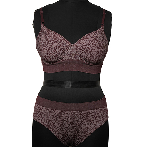 Ladies  Color Seamless Padded High Coverage Bra - Color: Different Available