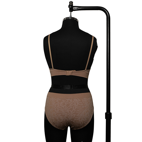 Ladies Seamless Padded High Coverage Bra - Color: Different Available
