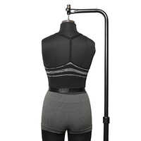 Ladies Seamless Striped Bralette