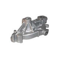 Pump Engine Body Cover Investment Casting - Application: Auto Industry