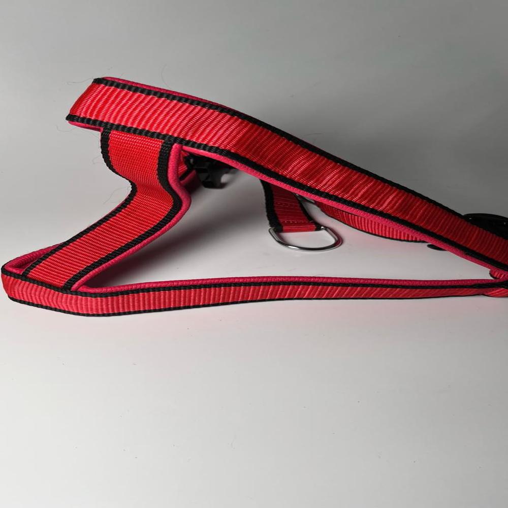Textrades Associates Dog Harness, Leash and Collar Set, Adjustable, Red