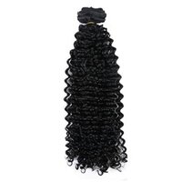 Hair Clip in Extensions For Black Women Natural Color 100% Brazilian African American Hair Extension (22 inch)