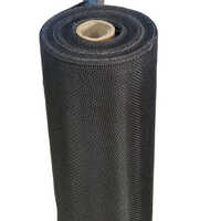 Black Wire Mesh Cloth