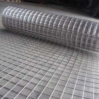Stainless Steel Weld Mesh