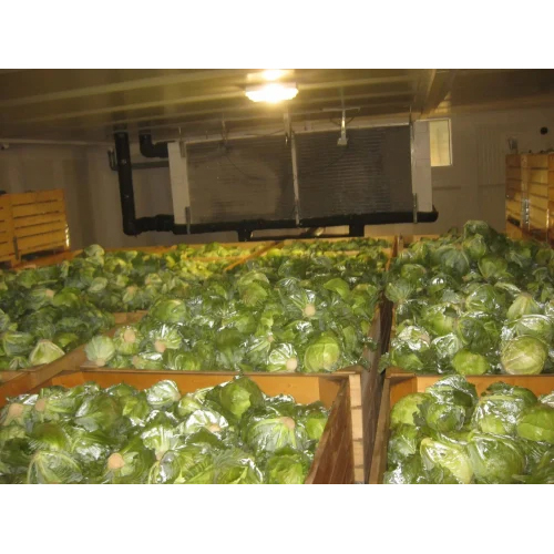 सब्ज़ी कोल्ड स्टोरेज रूम