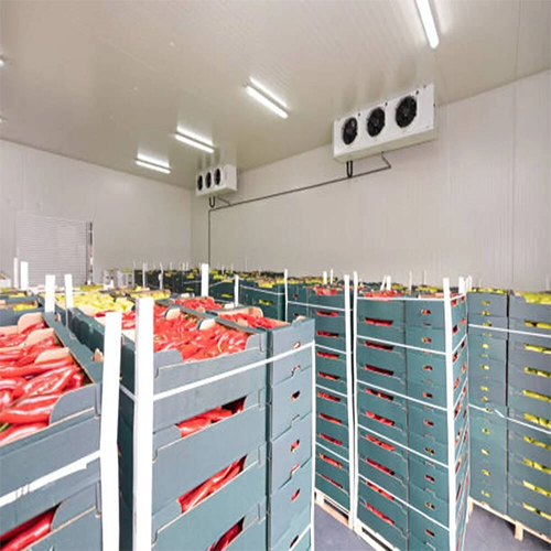 Commercial Cold Room - Door Type: Hinged