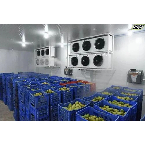 Mango Ripening Chamber - Color: White