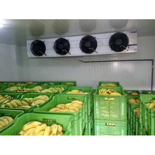 Fruit Ripening Chamber - Color: White