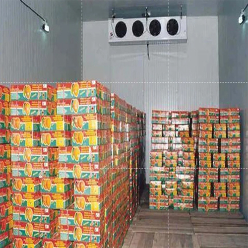 Aluminium Fruit Ripening Chamber - Color: White