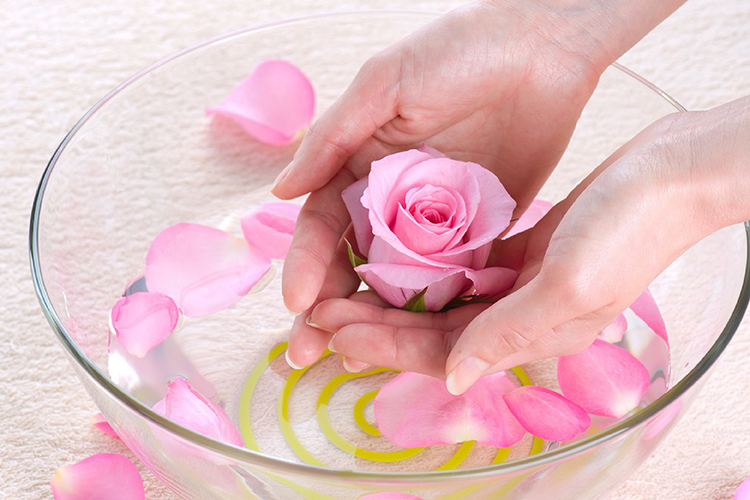 Kleen Force Gentle Care Pearl Rose Premium Hand Wash with Goodness of Aloe Vera