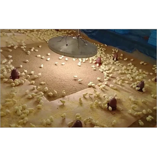 Poultry Paper Brooding Paper Chick Paper For Poulty Farming - Color: White