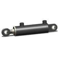 Single Acting Hydraulic Cylinder - Color: Black