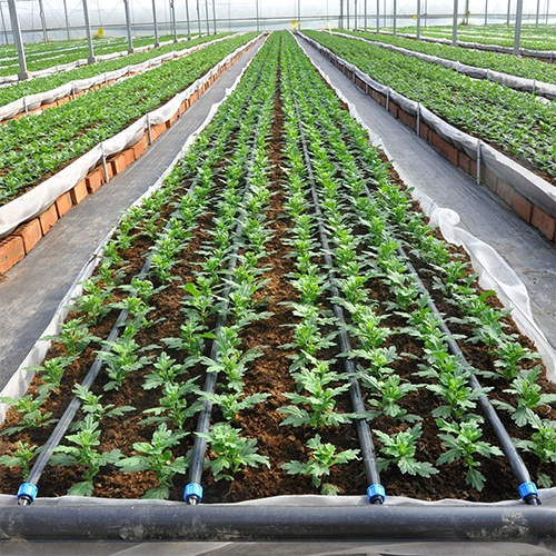 Greenhouse Drip Irrigation System - Material: Plastic