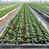 Greenhouse Drip Irrigation System