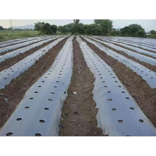 Mulching Paper Sheet - Features: Eco Friendly