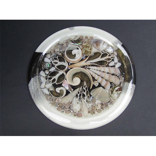 Round Shape Seashell Hot Plate - Color: Various Available