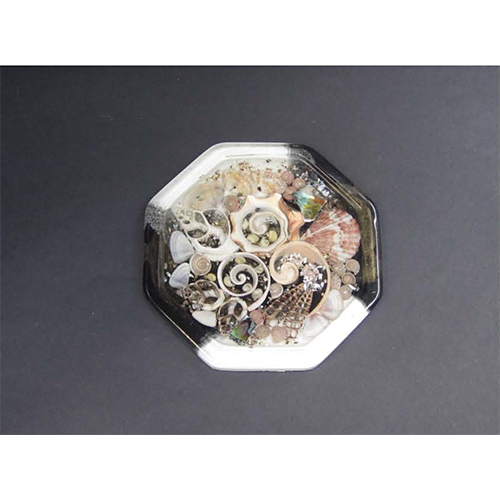 Fancy Seashell Tea Coaster - Color: Various Available
