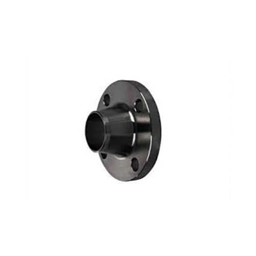 Ss Weld Neck Flange - Color: Silver