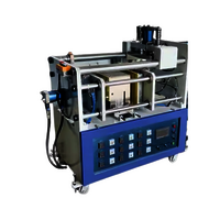 Three Side Expanding Bag Machine (ZY309ZH)
