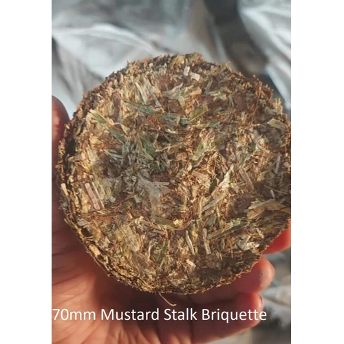 Mustard Briquette