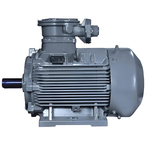 BBL Flameproof Motor