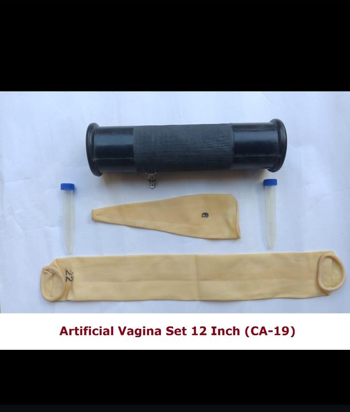 Artif-icial Vagi-na Set - Set of 5 Pcs