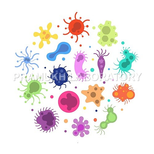 Bacillus Cereus Testing सेवाएं
